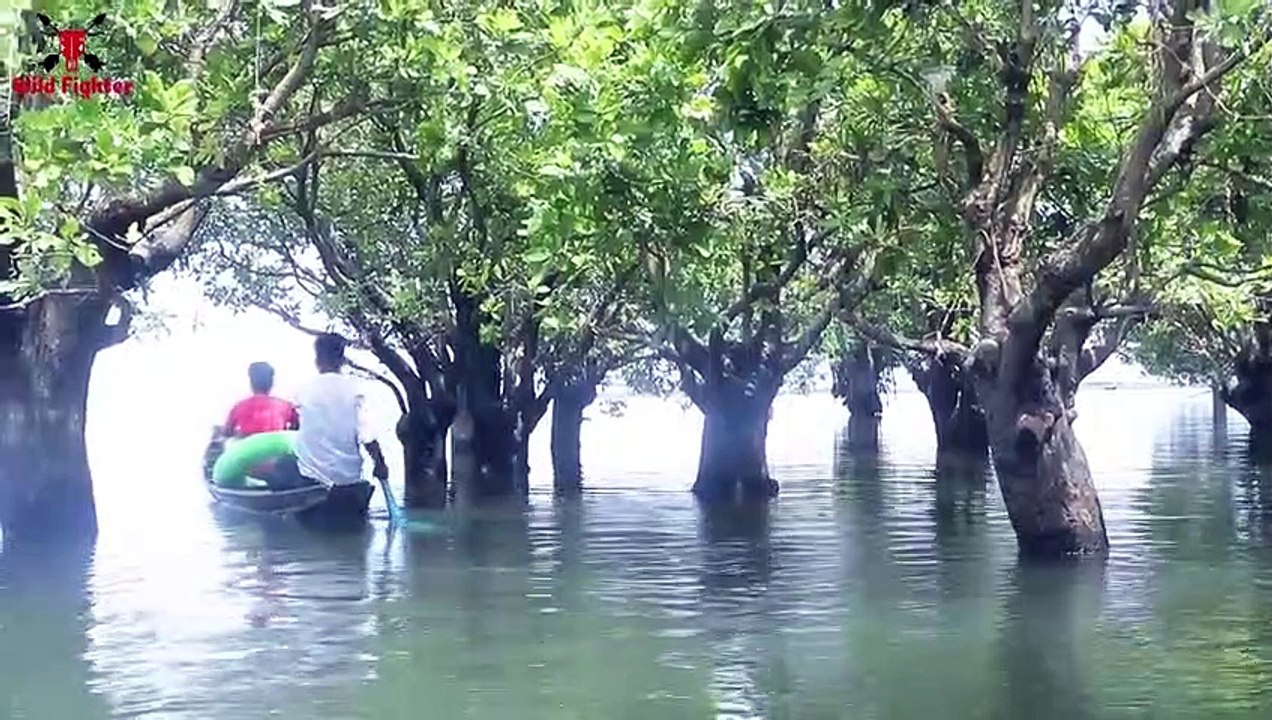 Shark Attack Man In Sea Shark zone   Shark Fish Attack at Fishing Time Fun Made Movie (2)