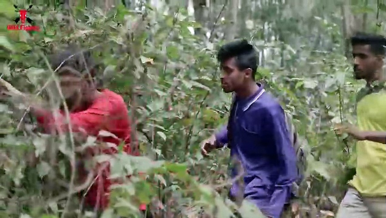 Shocking elephant attack on man in the road   Elephant encounter movie by Wild Fighter (2)