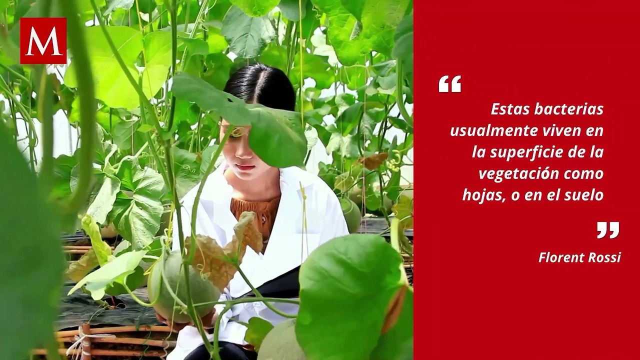 Nubes transportan bacterias resistentes a fármacos