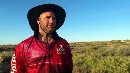 11yo recovering in hospital after shark attack in WA