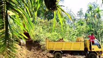 Komatsu PC 195 LC Works 3 Hours Earthmoving Using Truck  -  Caterpillar Excavator
