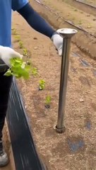 Smart Farming Innovation #shorts #viral #shortsvideo #video #innovationhub