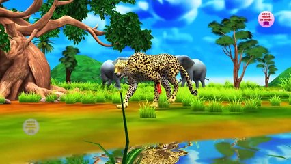 Pregnant Deer Baby And Cheetah Attack Story