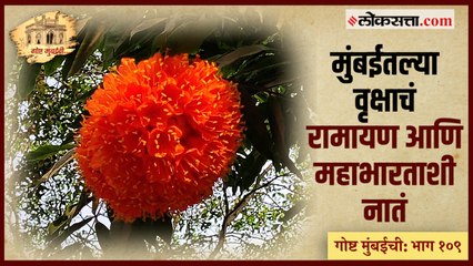 गोष्ट मुंबईची भाग : १०९ | मुंबईचा 'जिवंत वारसा' जपणारी दुर्मिळ वृक्षसंपदा - भाग २