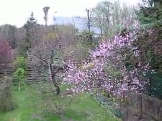 Quelques flocons à Pâques