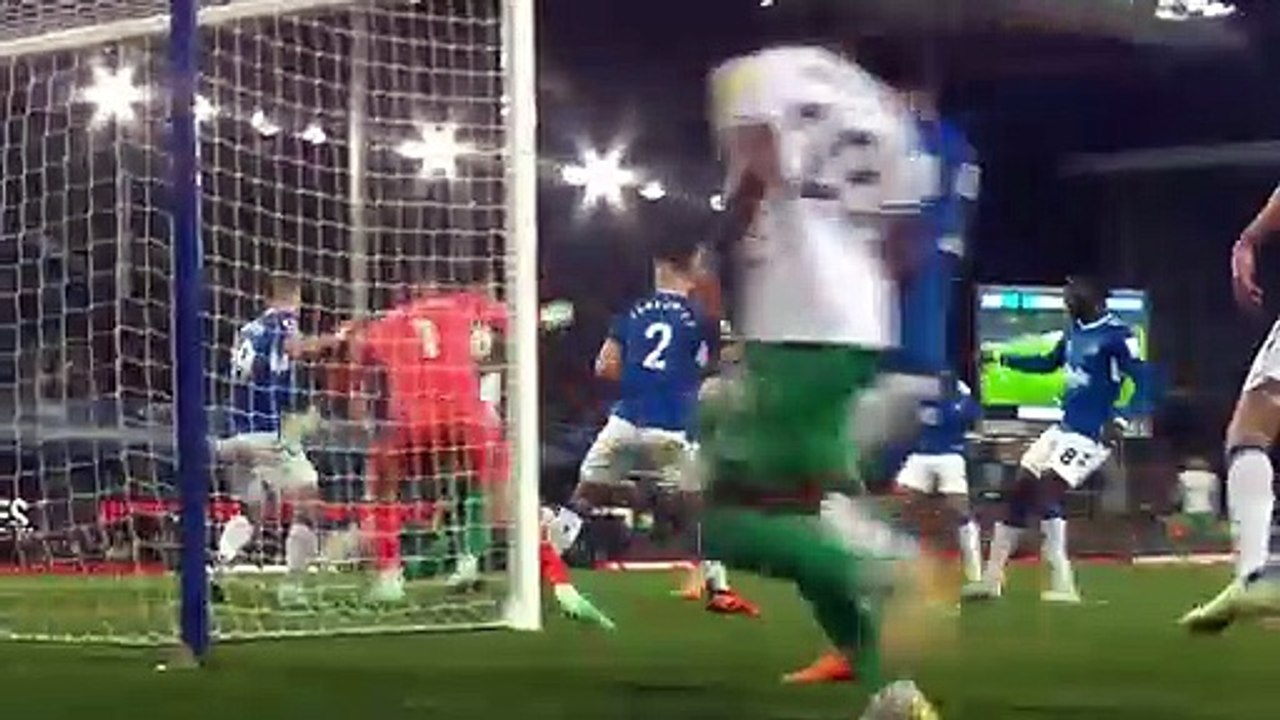 Everton 1 Newcastle United 4 _ Premier League Highlights