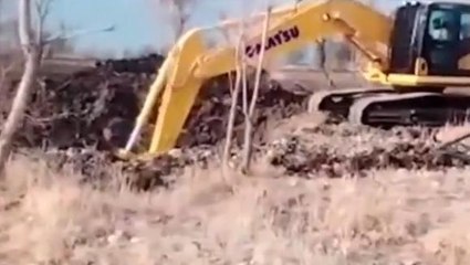 सीहोर: क्षेत्र में अवैध उत्खनन जारी, ठेकेदार बेरोकटोक कर रहा खनन..