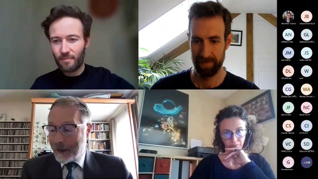 Fresque du sol - webinaire de lancement