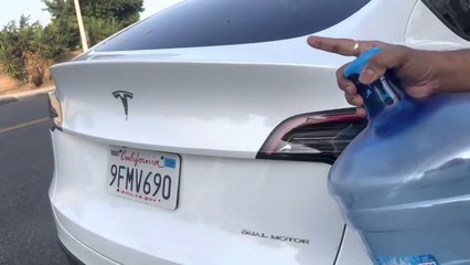 Tesla car..আজ আমরা celebrity হয়ে গেলাম..Walmart e গিয়ে অনেক নতুন জিনিস দেখলাম.. America