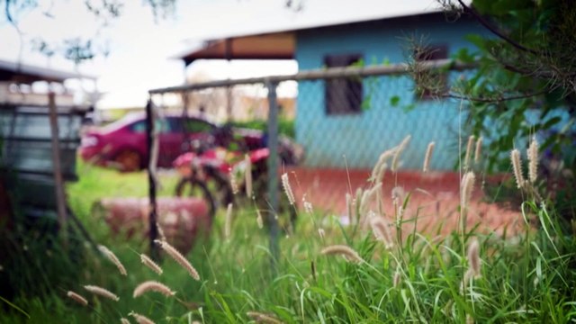 Calls for increased legal funding in federal budget