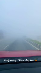 Foggy morning drive ‍️