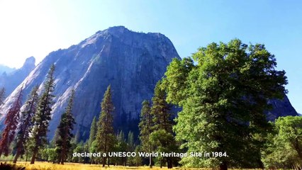 Premio Terra a la Iniciativa para los Desafíos Emergentes: Parque Nacional de Yosemite
