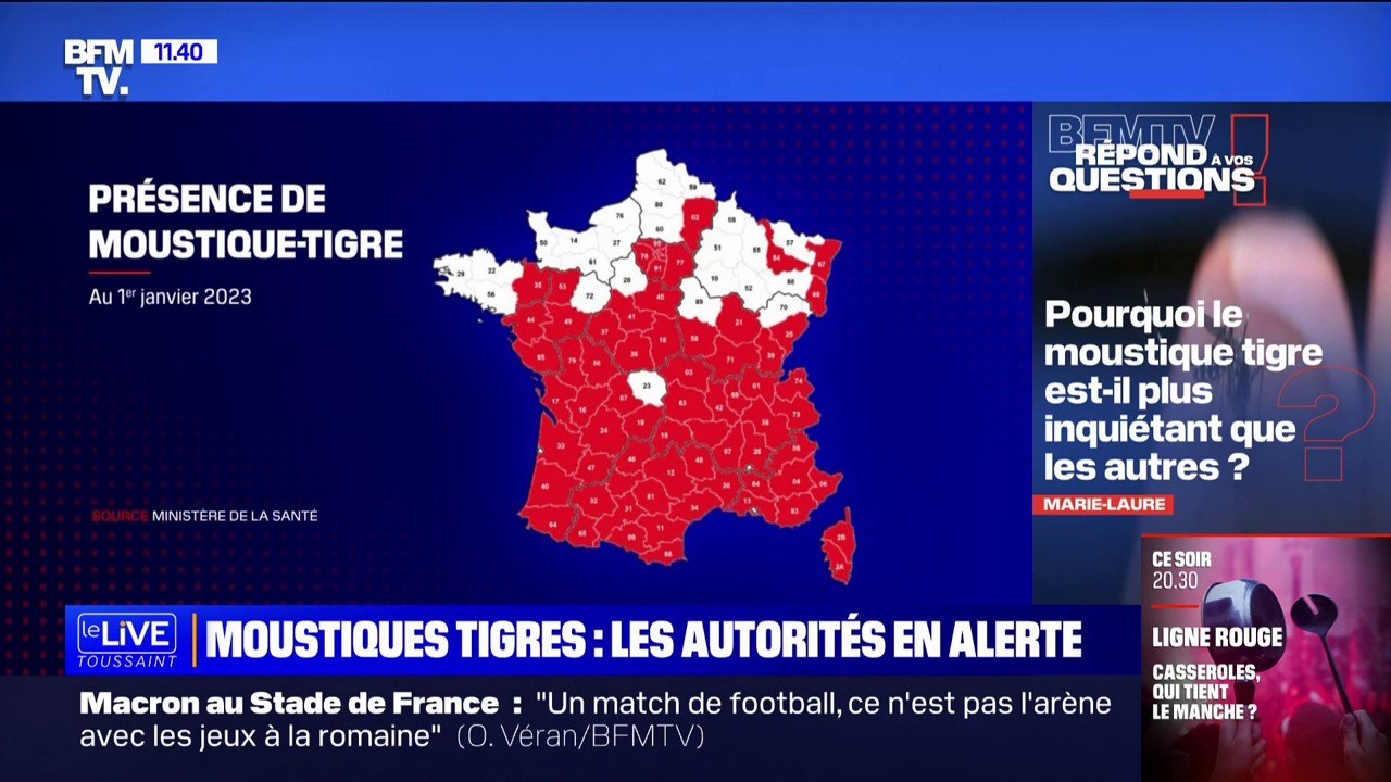 Pourquoi le moustique tigre est-il plus inquiétant que les autres? BFMTV répond à vos questions