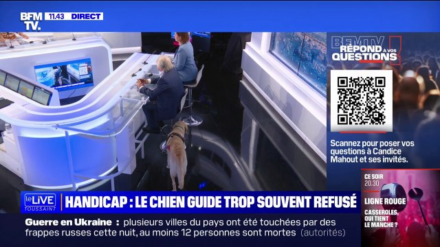 Comment les chiens-guides accompagnent-ils leurs maîtres? BFMTV répond à vos questions