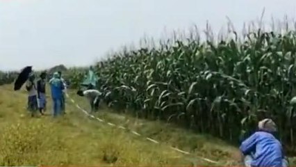 पूर्णिया: बैसा प्रखंड के खगजना में विवादित जमीन को अमीन द्वारा मापी कर सुलझाया गया