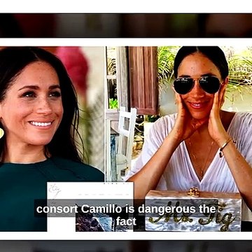 Ur Screwed Up! Gwyneth Tossed Out Proof Meg Used Fake Website License To Reboost TheTig_ Law Gets In - UK Royal Fans