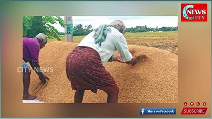 തോട്ടപ്പള്ളിയിൽ നെല്ല്​ സംഭരണശാലക്ക്​ കൃഷിവകുപ്പ്​ അനുമതി നൽകി