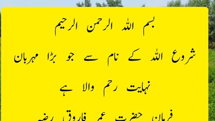 Aqwal e Zareen Heart Touching Qoutes in Urdu and Hindi SamiUllah Voice