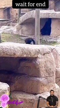 #trendingshorts #shortsvideo #shortvideos #shortsvideos #shortsvideotrends #shortsvideochannel 28-4 (2)