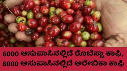 ಕೊಡಗು:ಇಳಿಕೆ ಕಂಡ ಕಾಫಿ ಧಾರಣೆ,ಹೀಗಿದೆ ದರ
