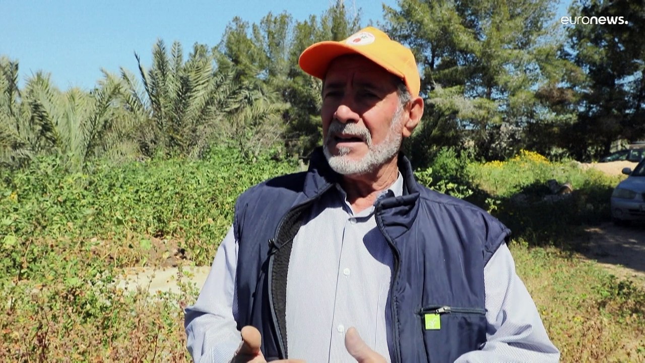 القطع الجائر للغابات والزحف العمراني والجفاف مثلث يهدد العاصمة الليبية