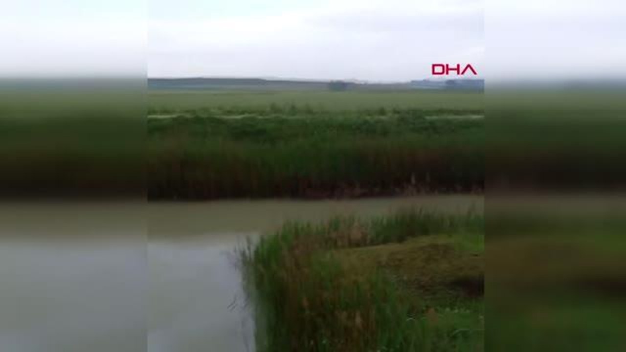 HAFİF TİCARİ ARAÇ SULAMA KANALINA DÜŞTÜ, SÜRÜCÜ HAYATINI KAYBETTİ