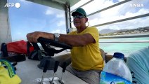 Caraibi invasi dalle alghe, due imprenditori le raccolgono nelle reti anti-sargasso
