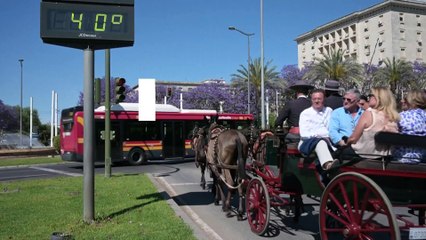 موج گرمای زودرس اسپانیا؛ ذخایر آب به ۵۰ درصد ظرفیت این کشور رسید