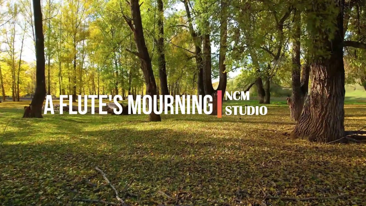 A Flute's Mourning - Aakash Gandhi: Cinematic Music, Dramatic Music, Sad Music