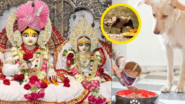 Sita Navami 2023: सीता नवमी के दिन क्या करना चाहिए क्या नहीं | Sita Navami Par Kya Kare Kya Nahi