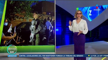 Rescatan a 32 perros víctimas de maltrato en Michoacán