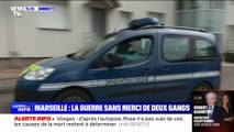 Fillette tuée dans les Vosges: selon l’autopsie, Rose n’a pas subi de viol, les causes de la mort restent à déterminer