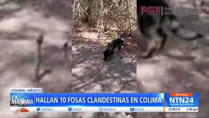 Hallan fosas clandestinas en Colima