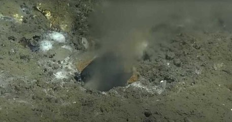 Des scientifiques découvrent d'étranges trous formés dans la faille de Cascadia