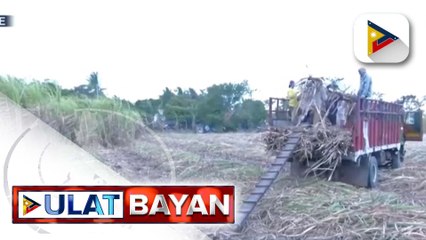 Bagong hepe ng SRA, itinalaga ni PBBM