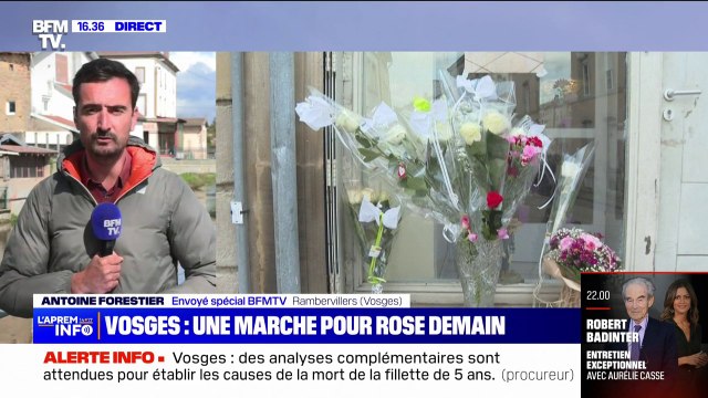 Vosges: une marche rose en hommage à la petite Rose prévue ce samedi à Rambervillers