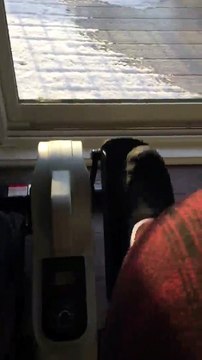 Sunny Health & Fitness Fully Assembled Magnetic Under Desk