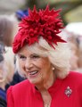Camilla Parker Bowles : Madame Tussauds a dévoilé la statue de cire de la reine consort