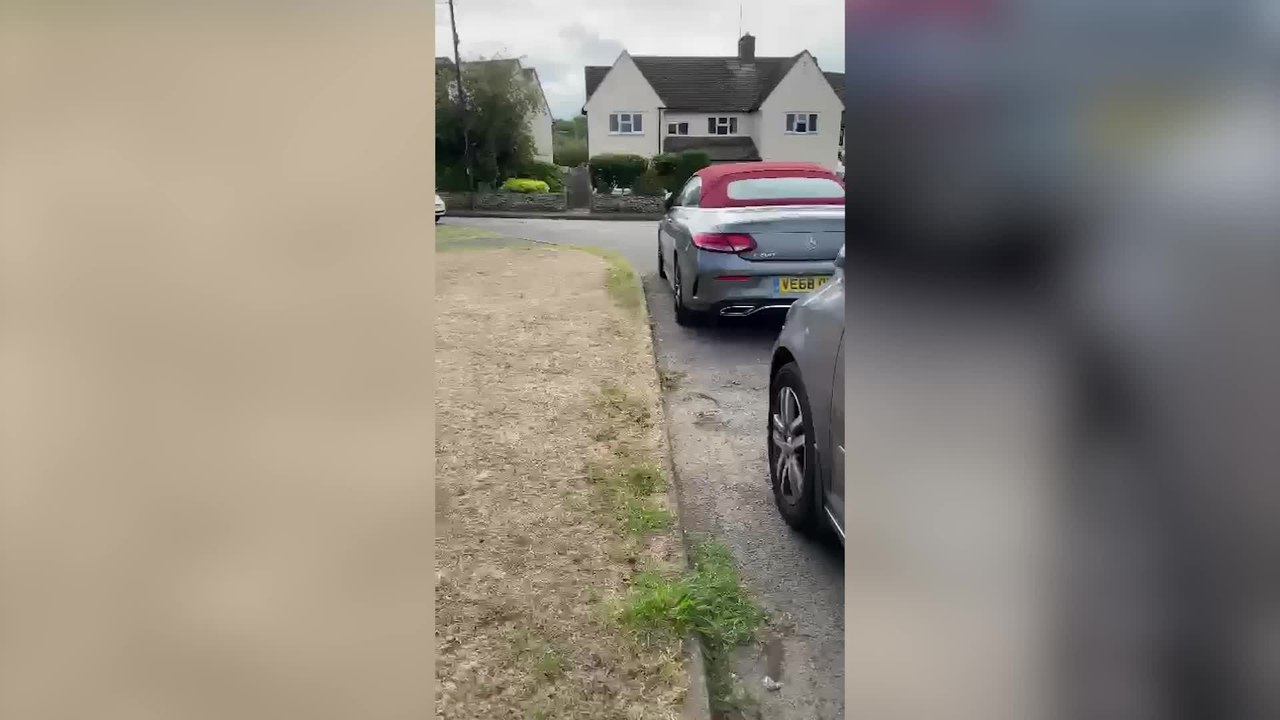 Pensioner avoids jail for threatening professional drone pilot with gun over fears he was filming his wife sunbathing in their garden