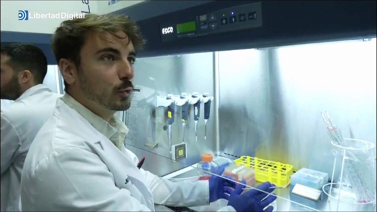 Un grupo de científicos españoles desarrollan una córnea artificial pionera en Europa