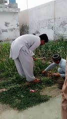 Village daily routine work today