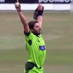 special catch in field by cricketer fielder