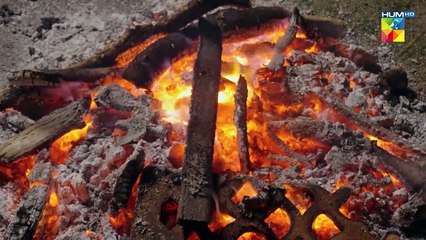 Saim Ki Nayi Girlfriend...!! #khushhalkhan #dananeer - Muhabbat Gumshuda Meri - FLO Digital