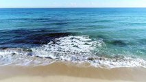 mixkit-waves-coming-to-the-beach-5016-medium (1)