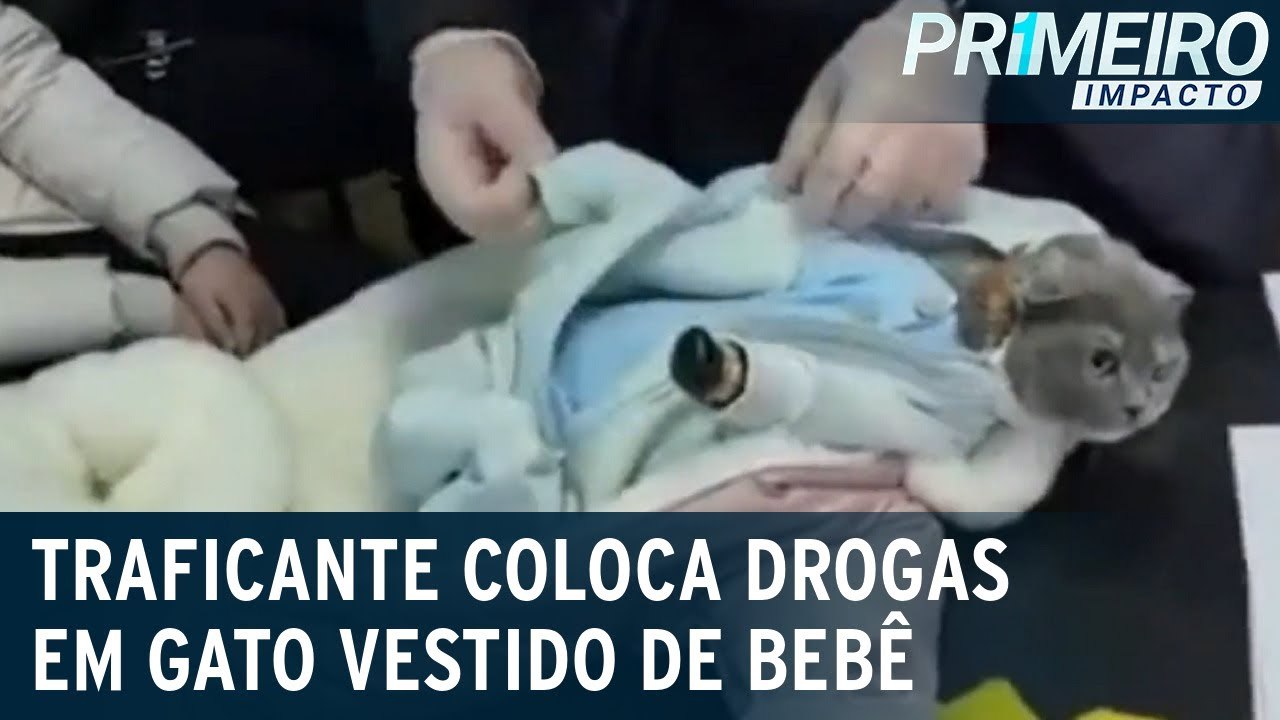 Traficante veste gato com roupas de bebê para despistar polícia