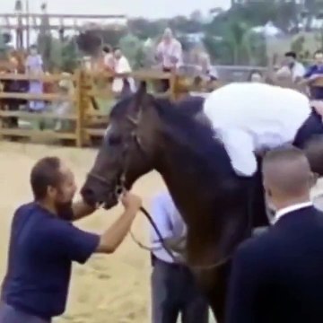 Selahattin Demirtaş, Erdoğan'ın attan düştüğü görüntüleri paylaştı, gençlere seçim çağrısı yaptı