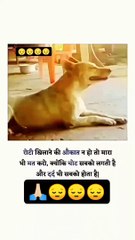 Khane ke liye roti nahin dete hai to maarte kyon Marne Ka bhi Adhikar aapko nahin