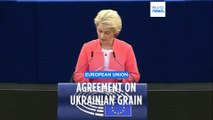 EU announces Ukraine grain deal after import bans by five member countries