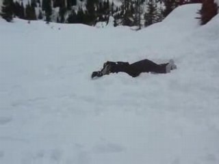 Imitation Jérémie janot