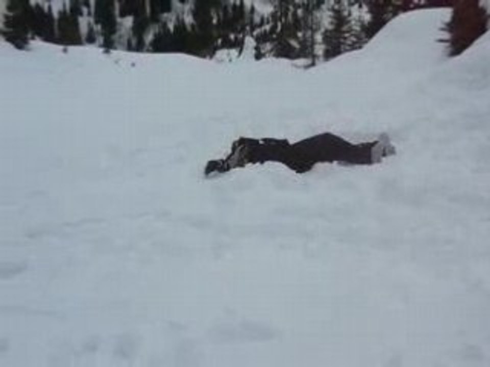 Imitation Jérémie janot